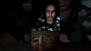 A Man Is Playing A Horror Game When A Cat Jumps On Him