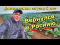 Вернулся в Россию. Я в шоке!