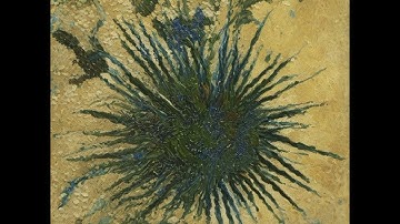 VDBL - Ø5_urching_xsZvBsG9Nbk