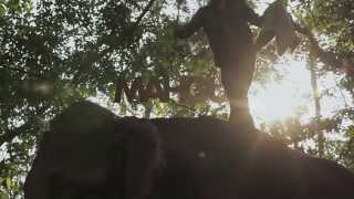 MAHOUT: The Great Elephant Walk – OFFICIAL TRAILER 