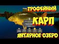 русская рыбалка 4 - Карп Янтарное озеро - рр4 фарм Алексей Майоров russian fishing 4