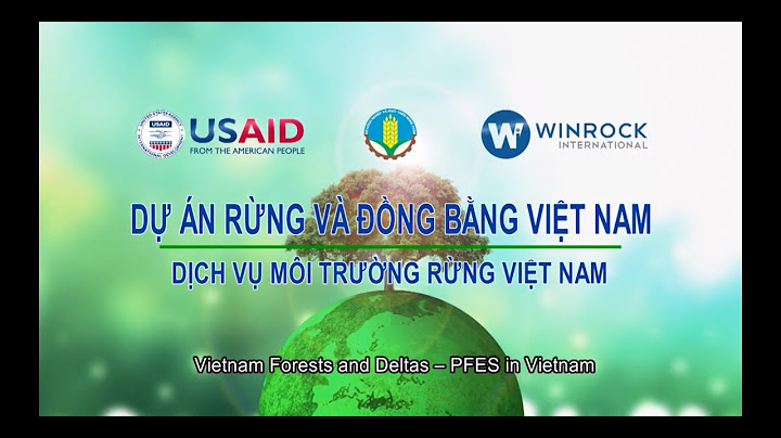 Top vietnamese business and active in protect environment năm 2024