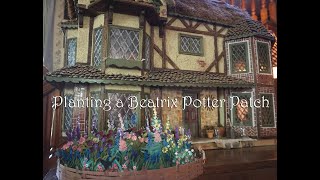 Planting a Beatrix Potter Patch