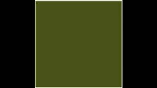 Color #4B5320  /*26*\\