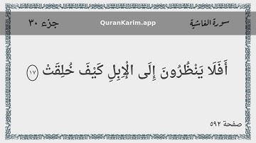 088 - سورة الغاشية - Surah: Al-Ghashiya - Maher Al Mueaqly ماهر المعيقلي