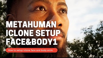 IClone MetaHuman Fullbody Face How To. *Iclone file below*