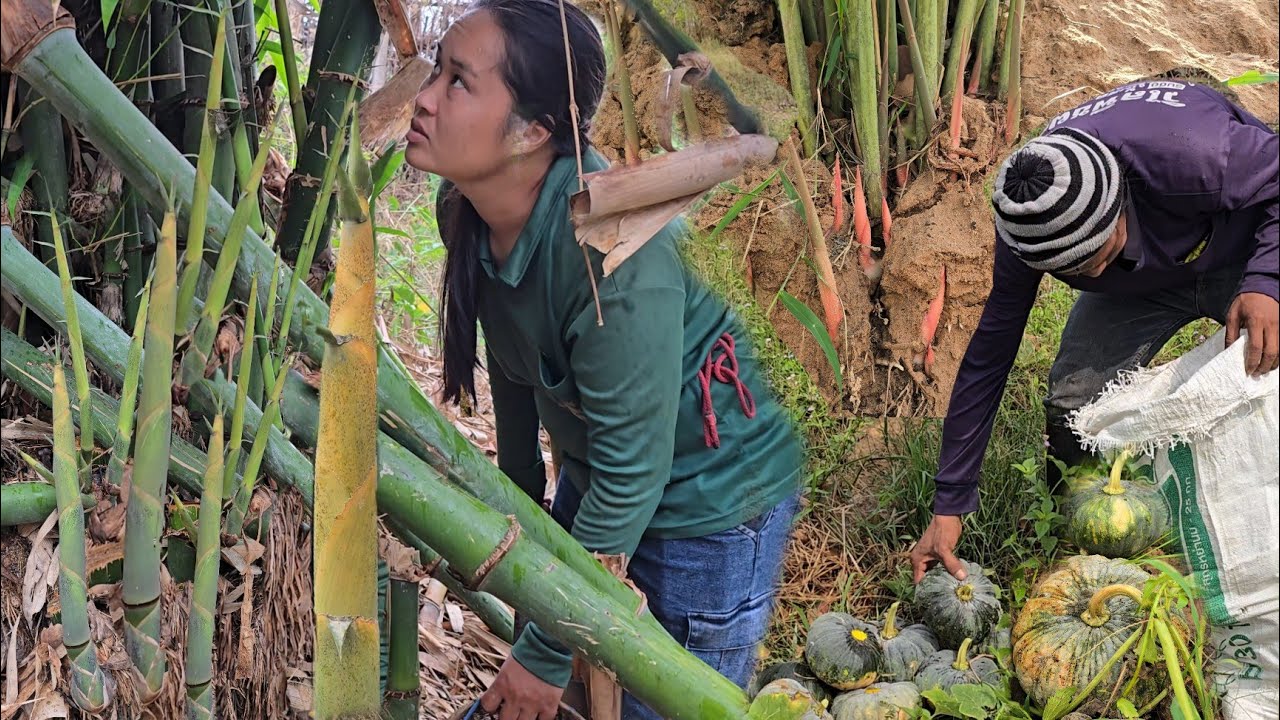 เลาะทุ่งนาหลังฝนตกหนัก เกือบทั้งคืน หาหน่อไม้ เก็บฟักทอง ปลอดสาร ถอนยอดข่าอ่อนวันนี้!!27ก.พ2569