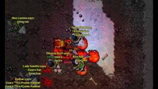 Tibia Harmonia Norseman