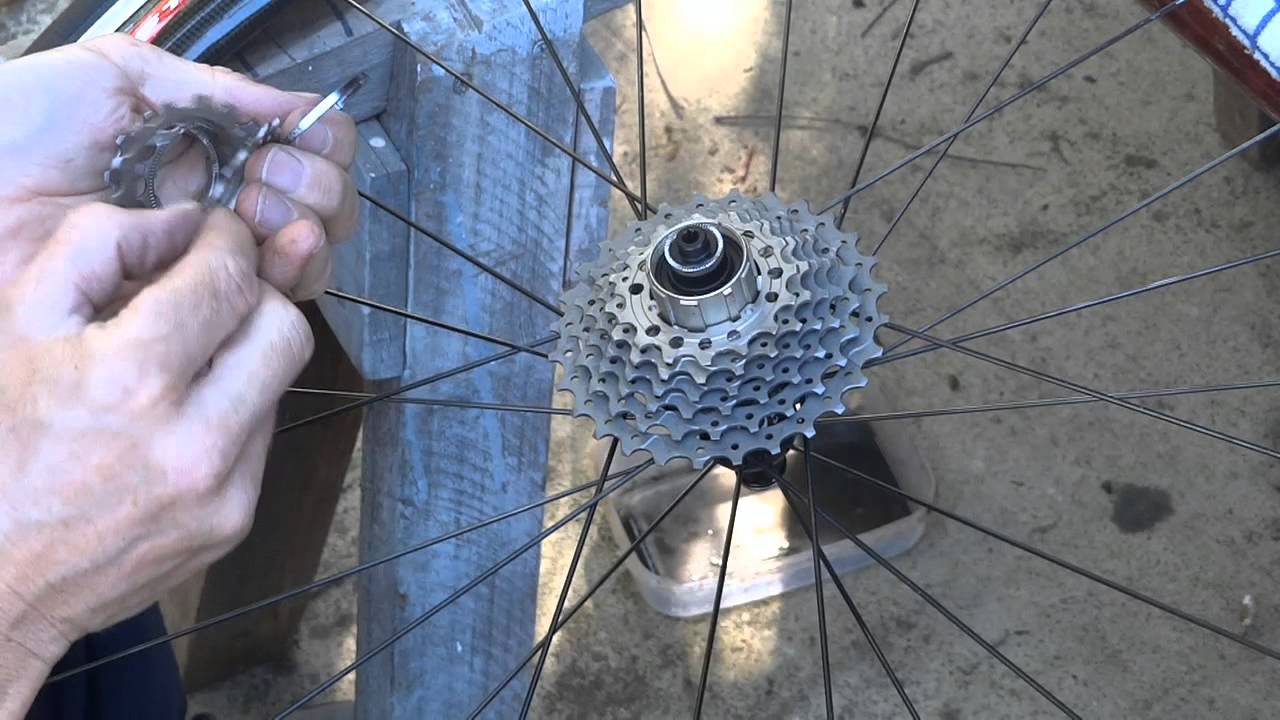 How To Remove Clean & Reinstall Shimano or Sram Rear Cassette YouTube