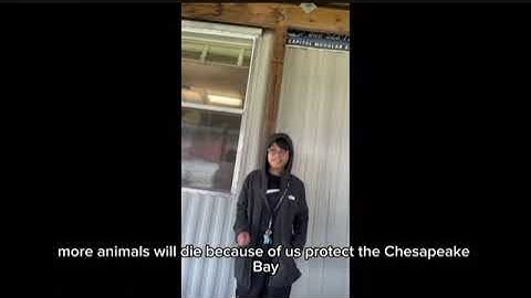 Save the Chesapeake Bay!!!￼