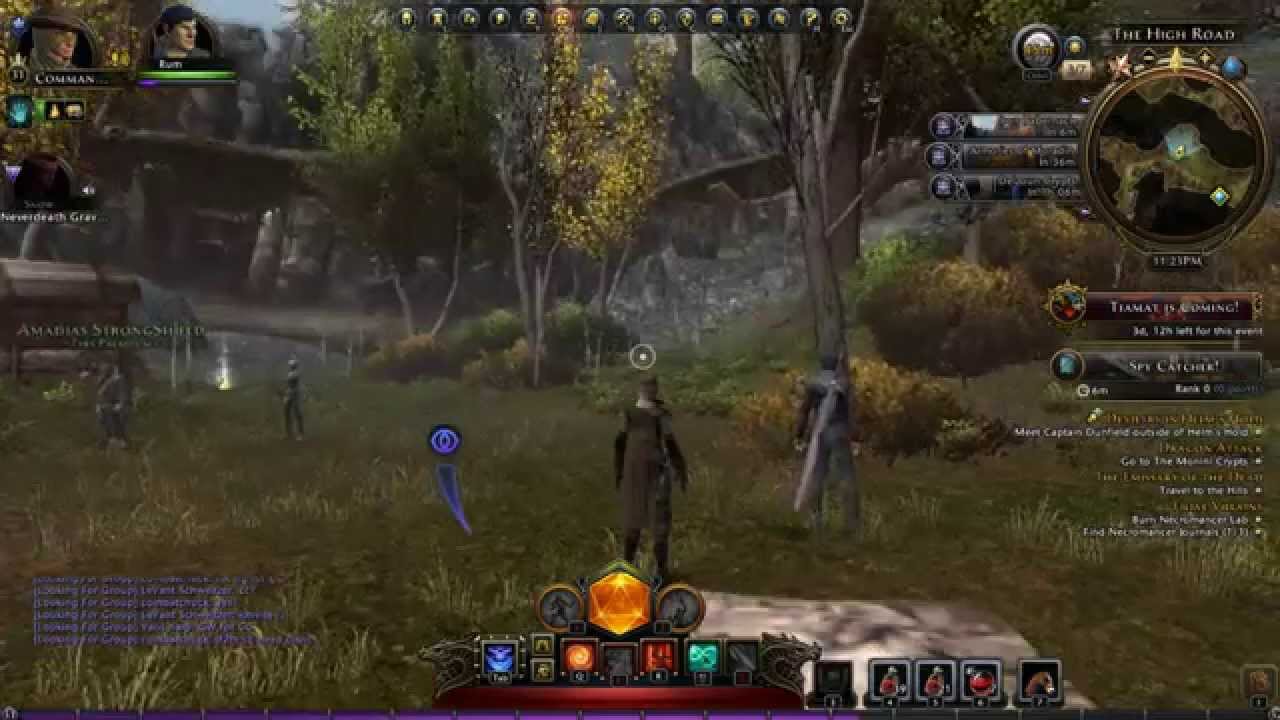 Neverwinter Companion Guide 1 Dog YouTube