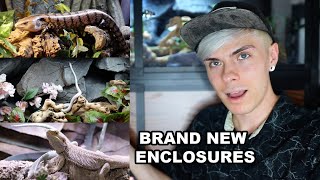 Setting Up New Reptile Enclosures! Corn Snake, Bearded Dragon, & Blue Tongue Skink Setups