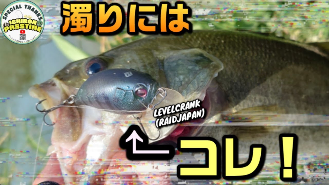 【バス釣り】濁りが強いと感じたらコレ！シルエット系レベルクランク！