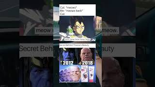 Meow + Marvel Never Told Us This Was The Real Infinity Stone 😁