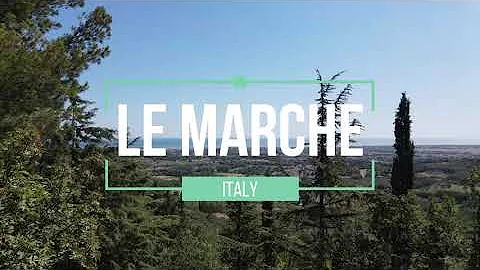 Quali droni comprare?