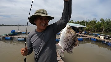 CÂU CÁ NGOÀI CỬA BIỂN TRÚNG ĐƯỢC BẦY CÁ NÂU KHỦNG