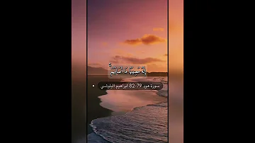 سورة هود الايه 79 82 