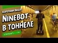 Ninebot segway на велопараде