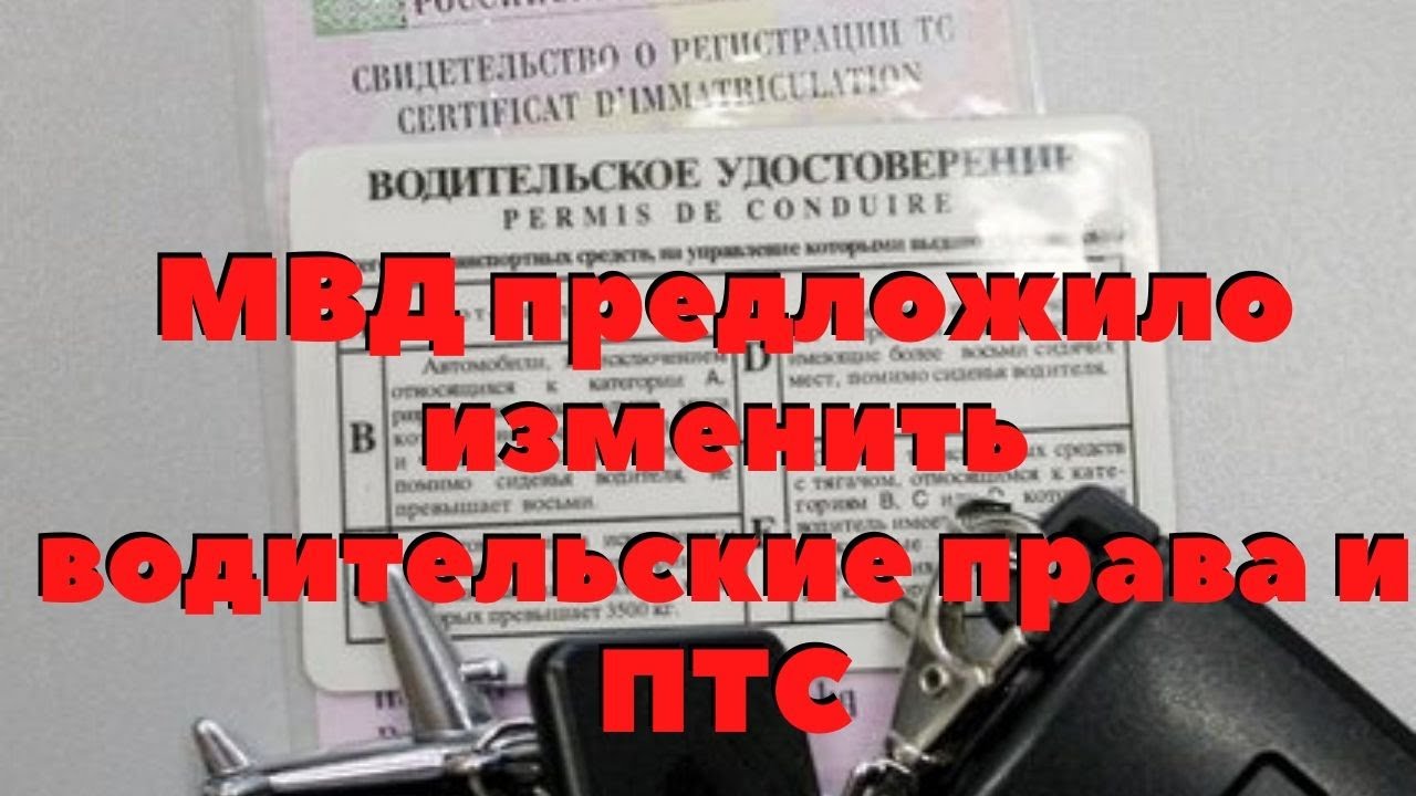 Внести изменения в птс