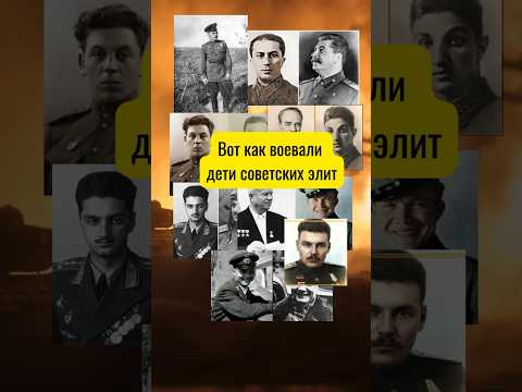 Вот как воевали дети советских элит