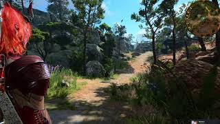 Baldur's Gate 3 Shoulder view / Action view