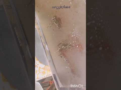 ملمع الزجاج من بريكس 