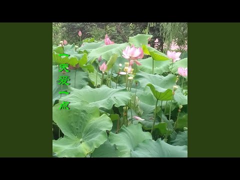 今生无缘