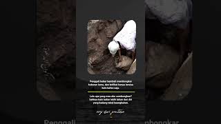 Download Lagu Apa yang kita \ MP3