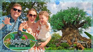 Rainforest Cafe Breakfast | Disney's Animal Kingdom | Exploring the Park & Dinner at Cici's Pizza