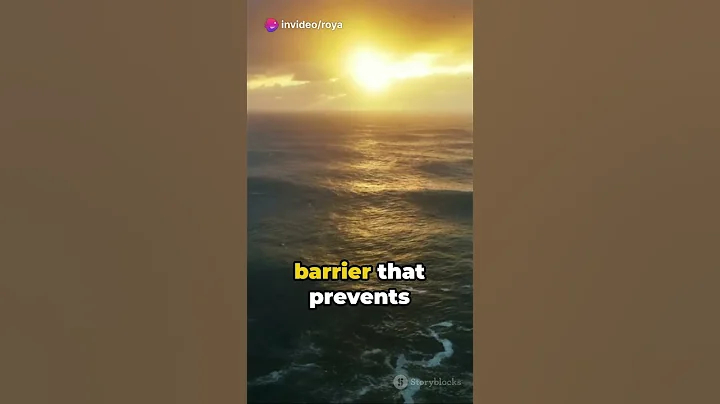 Why Does the Pacific and Atlantic Ocean Don't Mix With Each Other?