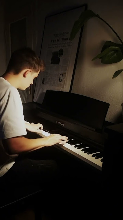 Passacaglia - Handel/ Halvorsen 💭 #piano #passacaglia #calming #safeplace #healing