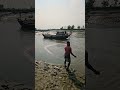 catch a big fish by castnet enjoy this videos. #shorts #fishing #fish #isshingvideo #villagelife