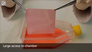 TPP Tissue Culture Flask with Re closable Lid or Peel off F 1
