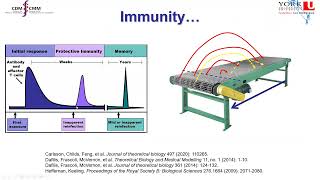 Modelling Immunity for COVID-19
