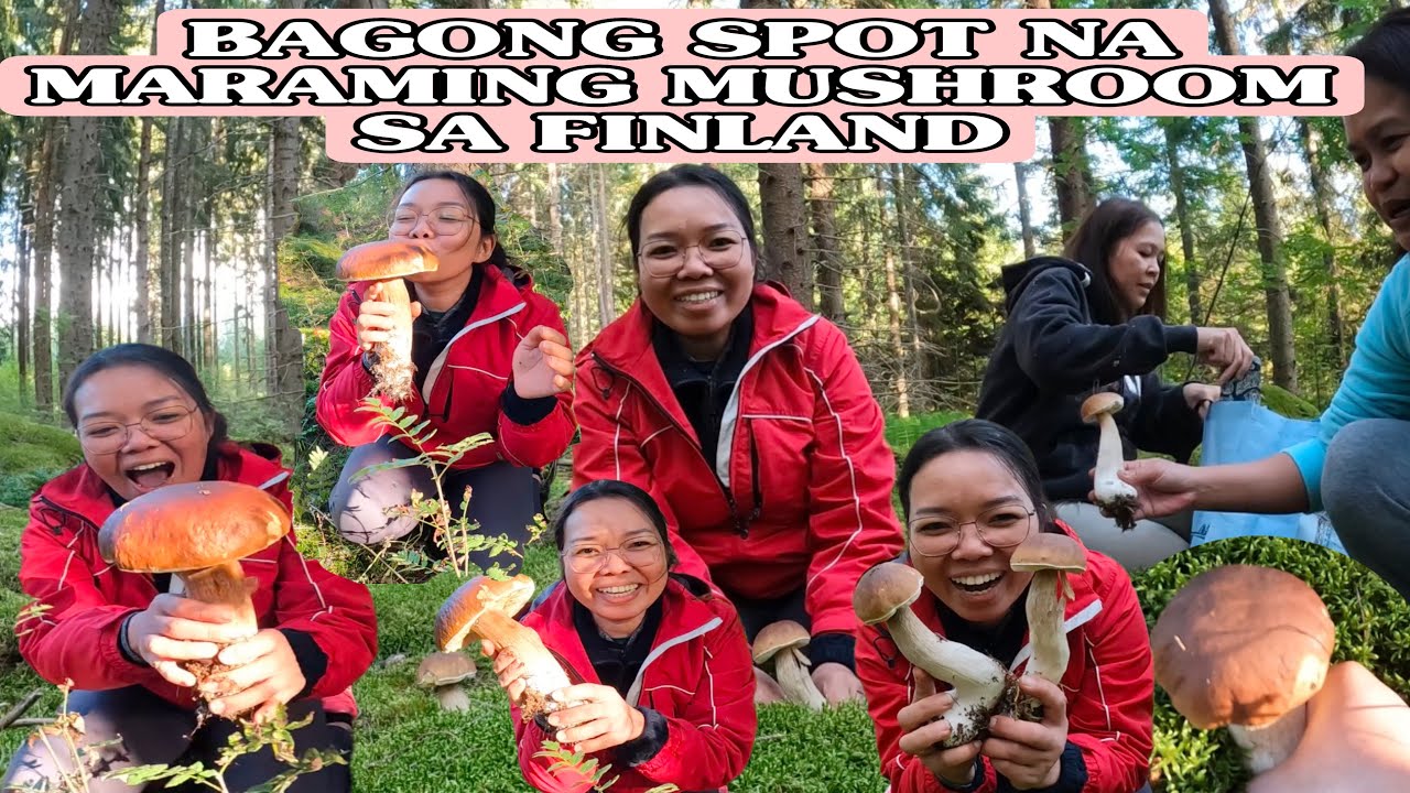 MAY BAGONG SPOT NA NADISKUBRE ! ANG DAMING PORCINI MUSHROOMS! 