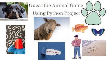 Python Project Making a guess the animal game.