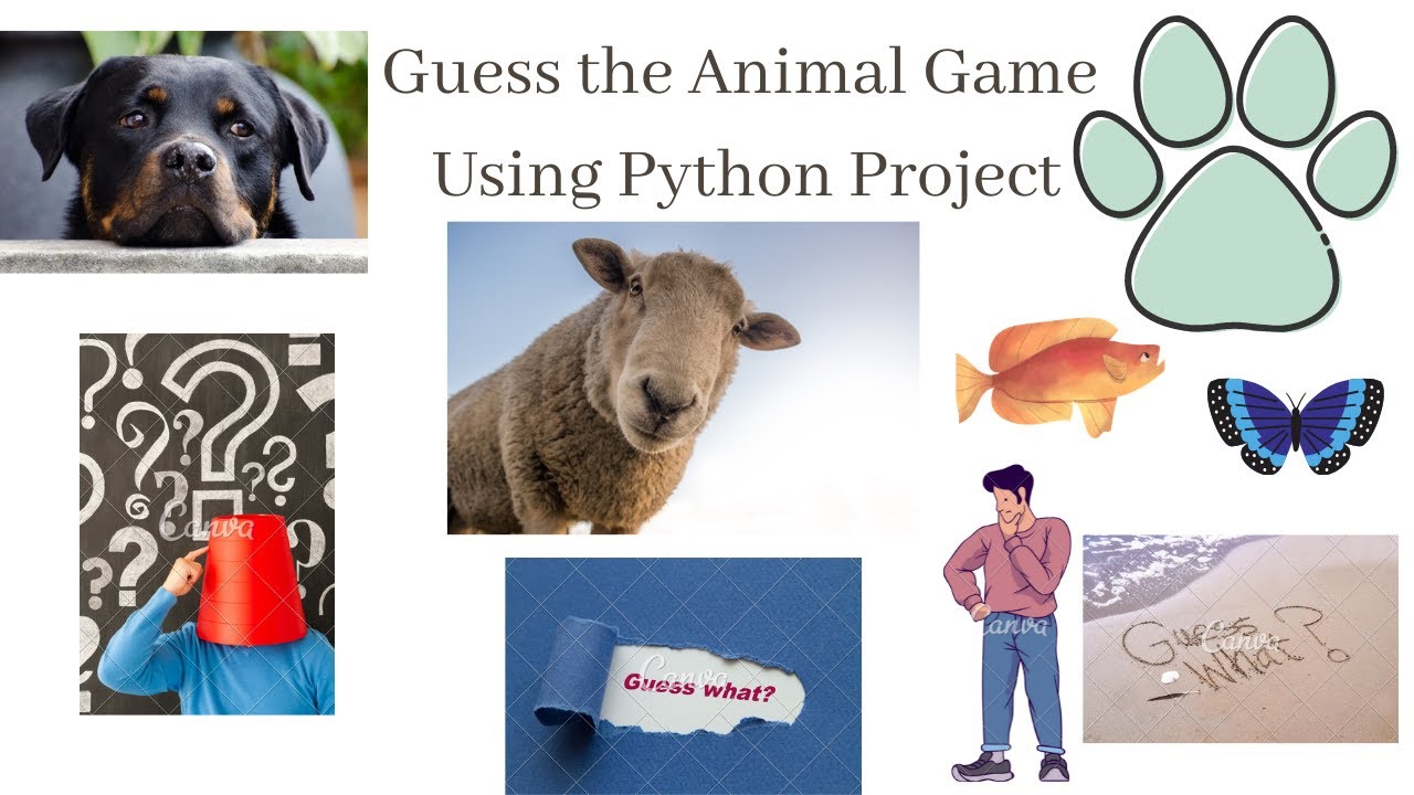 Python Project Making a guess the animal game. - YouTube