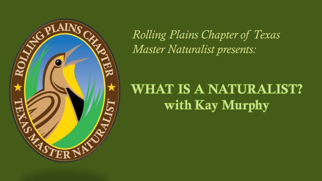 What is a Naturalist?  with Kay Murphy