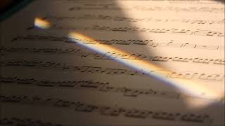 Ringtone Concerto | Instrumental Ringtones screenshot 5