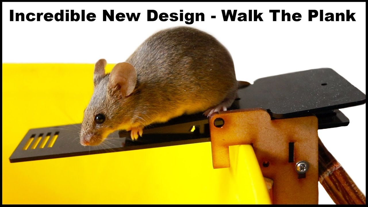 Incredible New Design Catches 10 Mice In One Night. The PLANKY B Mouse Trap. Mousetrap Monday.