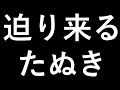 迫りくるたぬき
