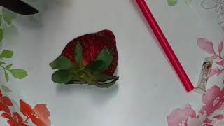 🍓😤Made a #StrawberryPipe for the start of Spring😤🍓