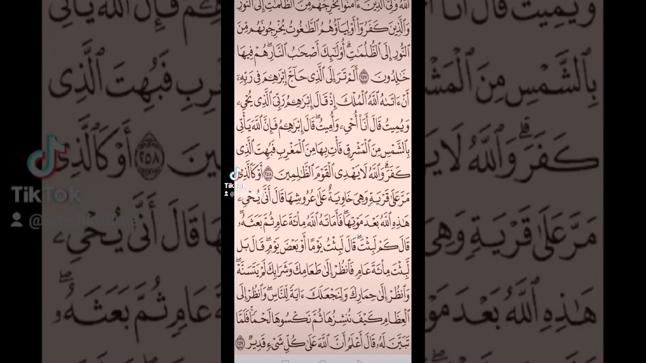 سورة البقرة صفحه في اليوم تسعد يومك بإذن الله تعالى 💓