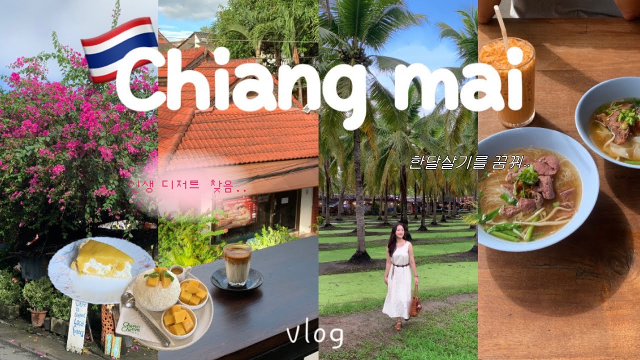 치앙마이 4박6일 여행 ep.1 🇹🇭 | 한달살기를 꿈꿔.. 💭 가성비 호텔 추천, 치앙마이 카페투어 (카최몇⭐️),주말마켓,바트커피 원트성공!,필수 맛집