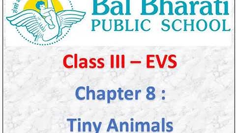 III EVS Chapter 8 Tiny Animals Part 1 2
