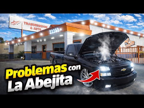 LA ABEJITA REGRESA AL TALLER 💔🤕