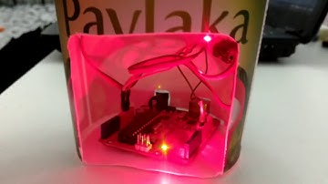 Arduino controlled laser toy for dog/cat - demo