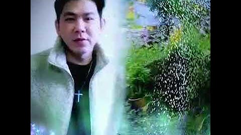 muk cip liu ten loi