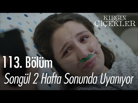 Songül 2 haftanın sonunda uyanıyor - Kırgın Çiçekler 113. Bölüm | Final