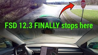 Tesla FSD Beta 12.3 show MUCH IMPROVEMENT around Lake Junaluska